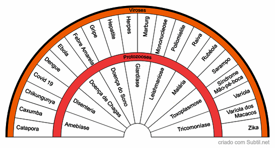 Doenças - viroses e verminoses