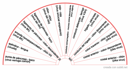 Biomagnetismo - Rastreo de virus V-Z