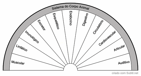 Sistema do corpo animal