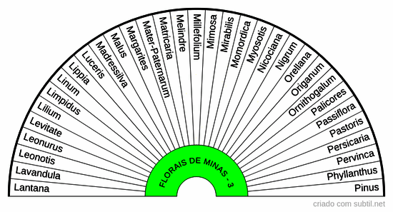 Florais de minas - 03