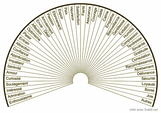 Emotions positives 46 220°