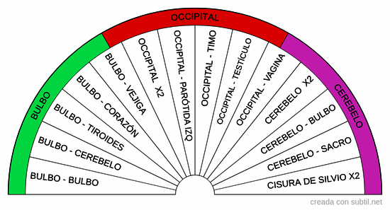 Pares biomagnetismo - Posterior cabeza