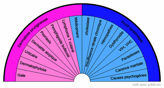 Causes dermatologiques et systémiques de prurit