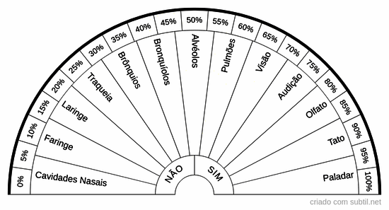Órgãos do sist. respiratório e sensorial