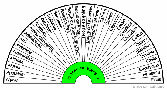 Florais de minas - 01