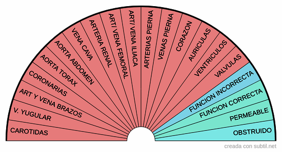 PU sistema cardiovascular