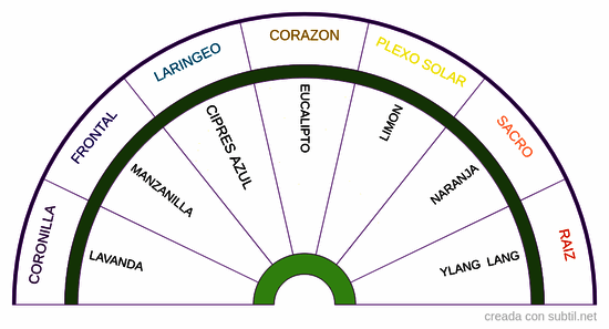 Chakras / Aceites esenciales