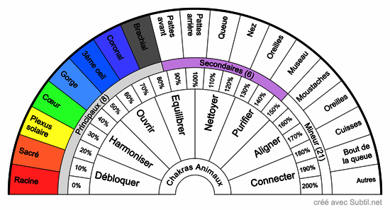 Chakras des animaux : chien et chat