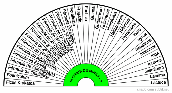 Florais de minas - 02