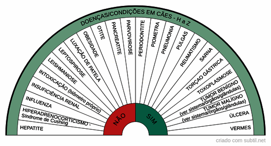 Doenças/condições em cães - H a Z