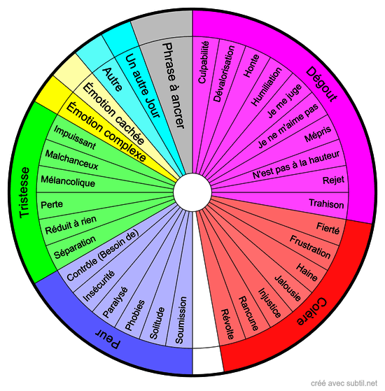 Emotions primaires & secondaires rev1