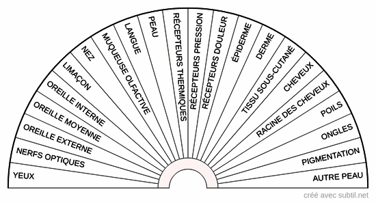 Système sensoriel