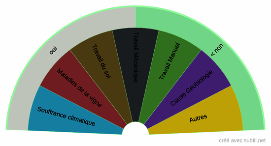 Problématique de la vigne 1