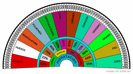 Nivel de agua en el cuerpo humano