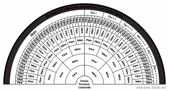 Blocages et mémoires ancestrales 