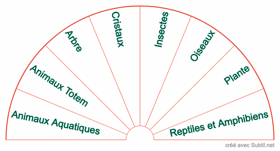 Animaux, végétaux et cristaux 