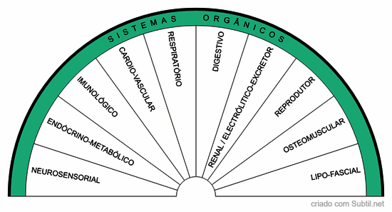 Sistemas orgânicos