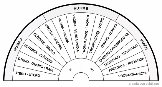 Par biomagnetismo - Pelvis - Sexo