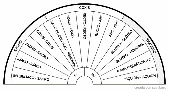 Par biomagnetismo - Pelvis - Trasera