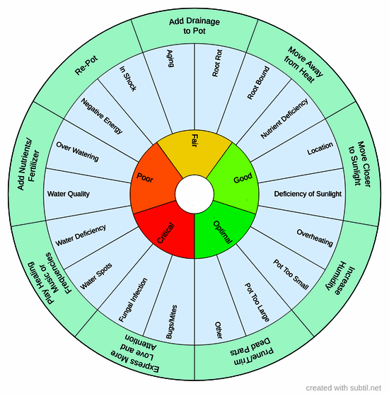 House plant health