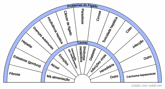 Causas e problemas relacionados no fígado