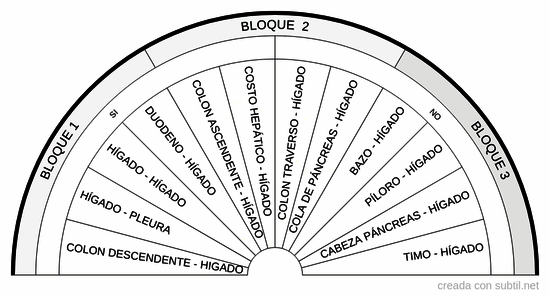 Pares biomagnetismo - Zona tronco-hepatitis