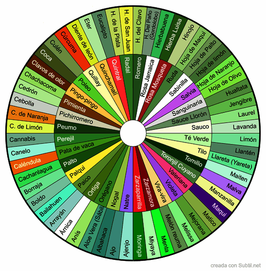 Pantas medicinales de uso en chile