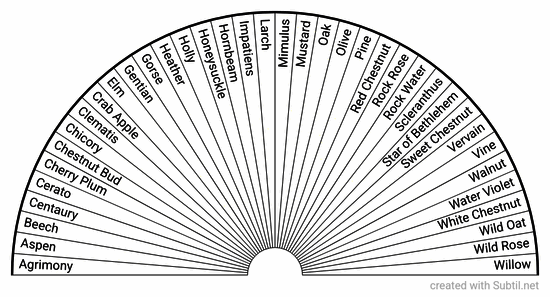 Bach flower chart