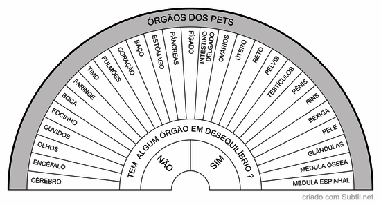 Órgãos do pets