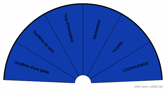 Problématique de la vigne 2