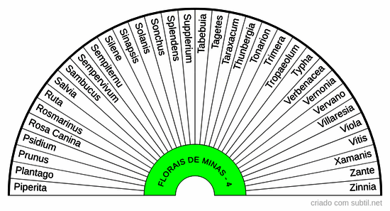 Florais de minas - 04