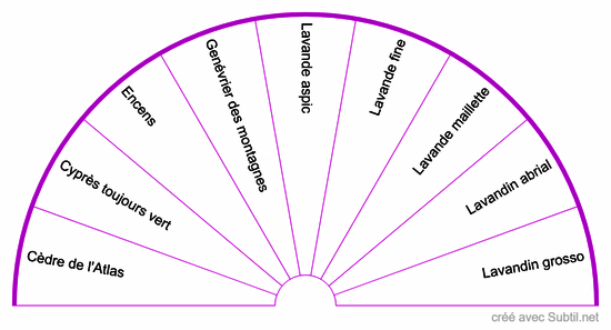 Huiles essentielles chakra coronal