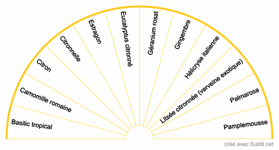 Huiles essentielle chakra plexus solaire