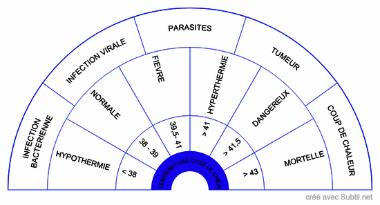 Temperature chez le chien
