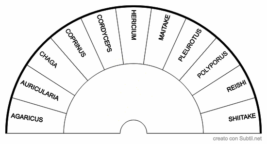 Micoterapia 