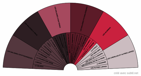 Problématique de la vigne 3