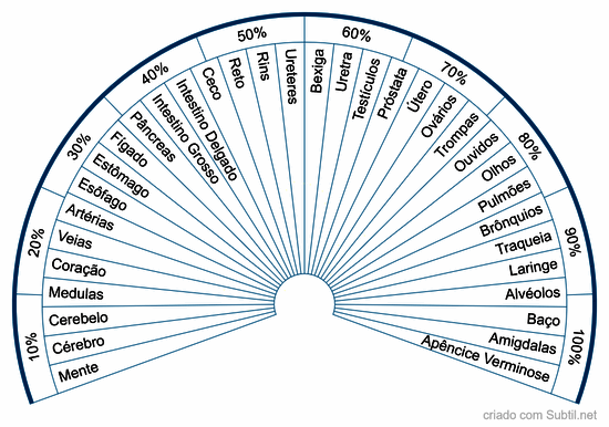 Órgãos do corpo humano