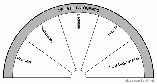 Tipos de patógenos