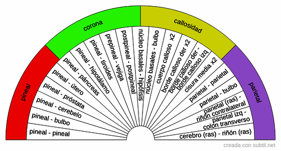 Pares biomagnetismo - Zona coronilla