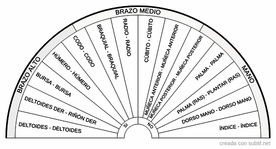 Par biomagnetismo - Miembros - Brazos