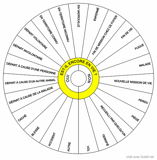 Causes départ animal