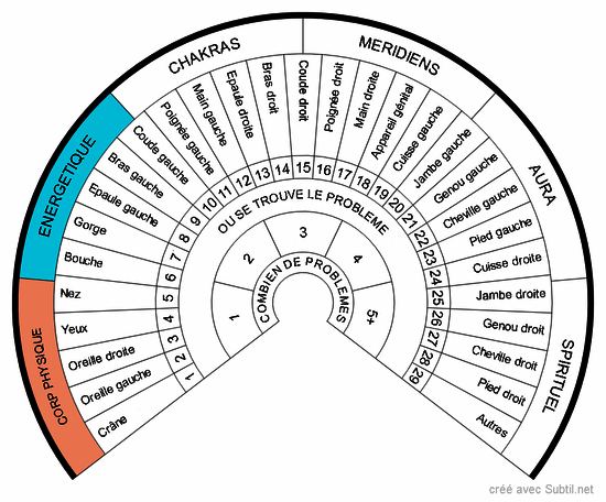 Anatomie - parties du corps humain