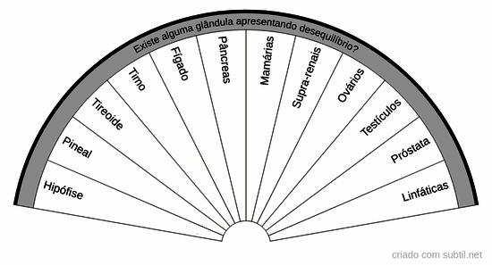 Glândulas