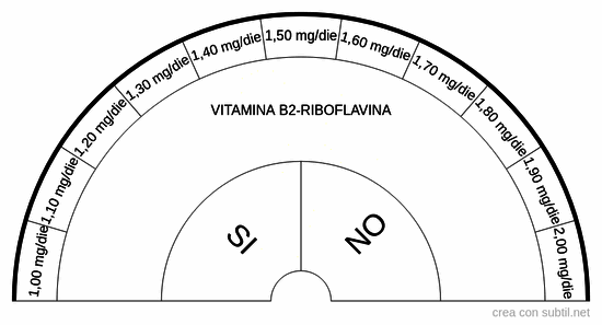 Vitamina B2 - Riboflavina