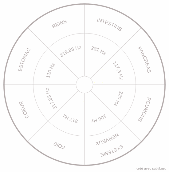 Les fréquences et la guérison des organes