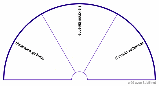 Huiles essentielle chakra du 3ème oeil