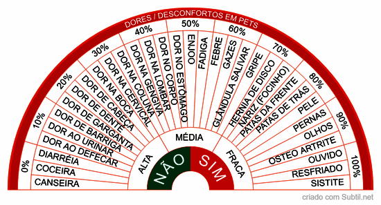 Dores e/ou desconfortos em pets